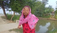 নওগাঁর মান্দায় সড়ক দুর্ঘটনায় এক বৃদ্ধা নিহত